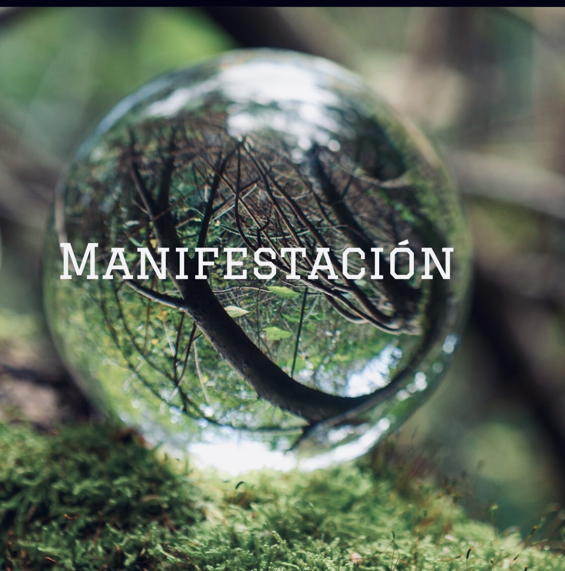 Featured image for “La Manifestación”